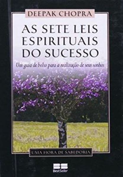 Picture of SETE LEIS ESPIRITUAIS DO SUCESSO, AS - MINIEDICAO
