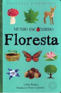 Imagem de FLORESTA - MUNDO ESCONDIDO