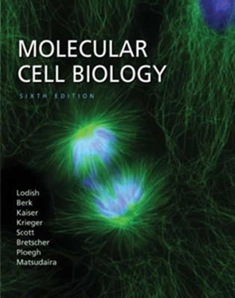 Picture of MOLECULAR CELL BIOLOGY - 6TH EDITION