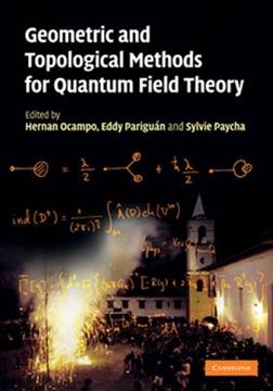 Imagem de GEOMETRIC AND TOPOLOGICAL METHODS FOR QUANTUM FIELD THEORY