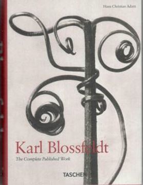 Imagem de KARL BLOSSFELDT