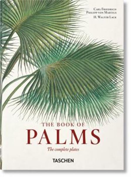 Picture of MARTIUS. THE BOOK OF PALMS. 40TH ED.