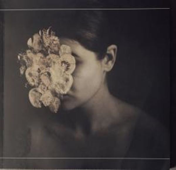 Picture of FOTOGRAFIA HIBRIDA