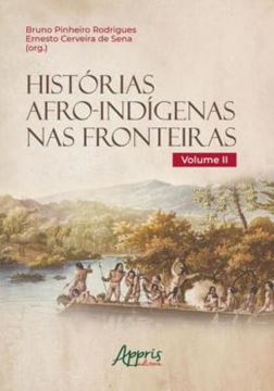 Imagem de HISTORIAS AFRO-INDIGENAS NAS FRONTEIRAS - VOLUME II