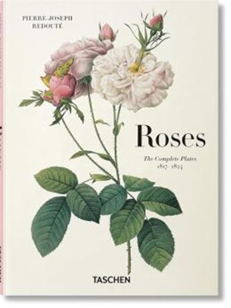 Picture of ROSES
